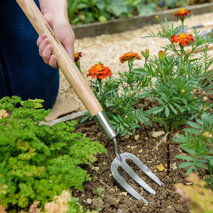 Kent & Stowe - Stainless Steel Border Hand Fork