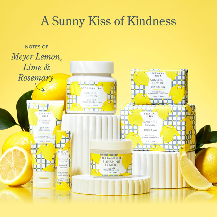 Sunshine Lemon Face Wipes Set of 4