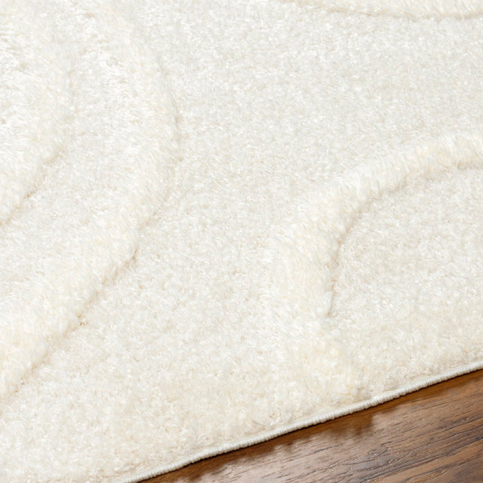 Ailey Machine-Woven Rug Beige / White