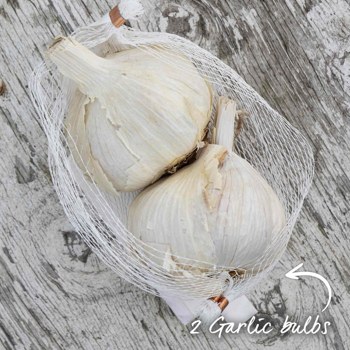 Garlic Bulbs 'Kingsland Wight'