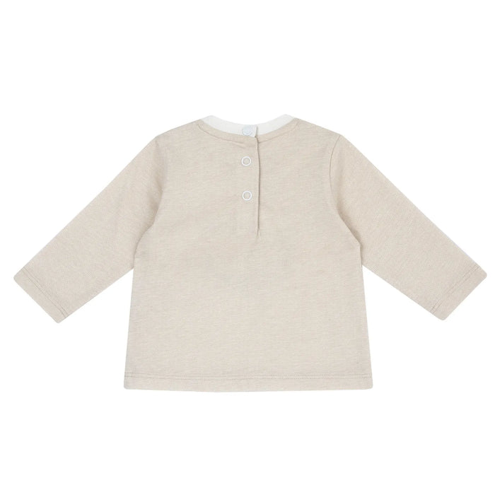 Boys Beige Graphic Printed Knitted T-shirt