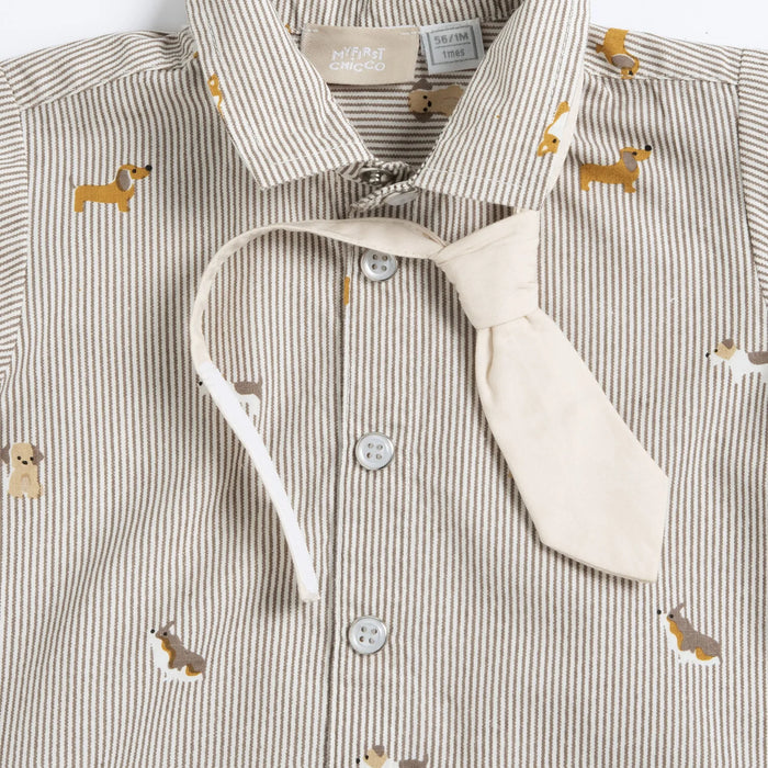Boys Beige Striped Shirt with Tie