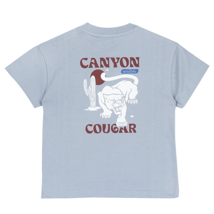 Boys Blue and Red Round Neck T-shirt