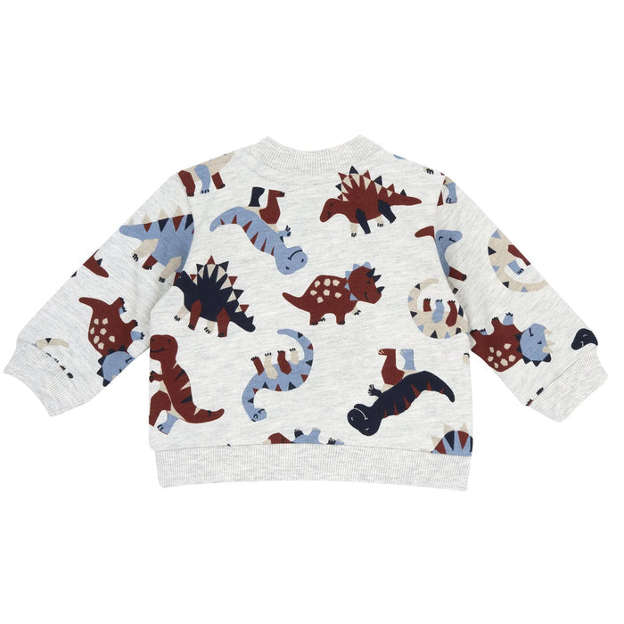 Boys Light Grey Printed Sweatshirt