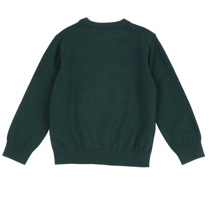 Boys Medium Green Printed Pullover