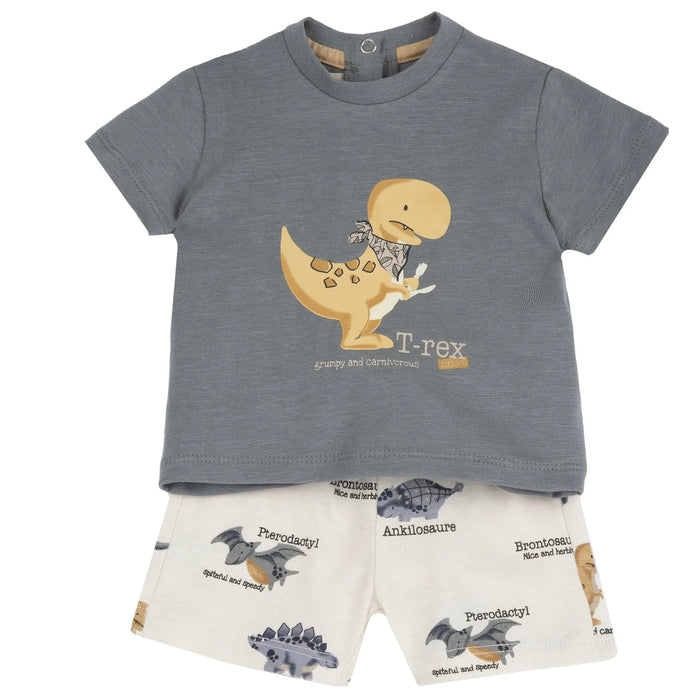 Boys Medium Grey Animal Printed T-Shirt with Shorts