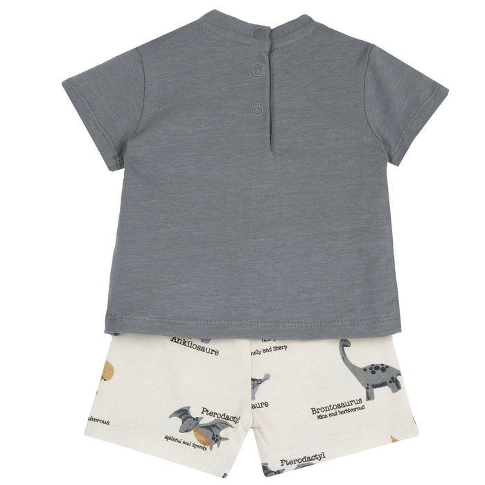 Boys Medium Grey Animal Printed T-Shirt with Shorts