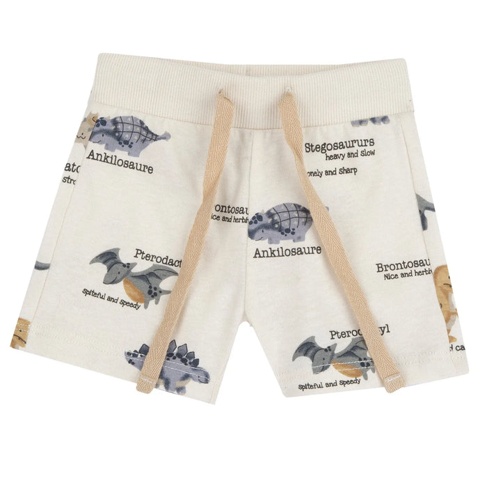 Boys Medium Grey Animal Printed T-Shirt with Shorts
