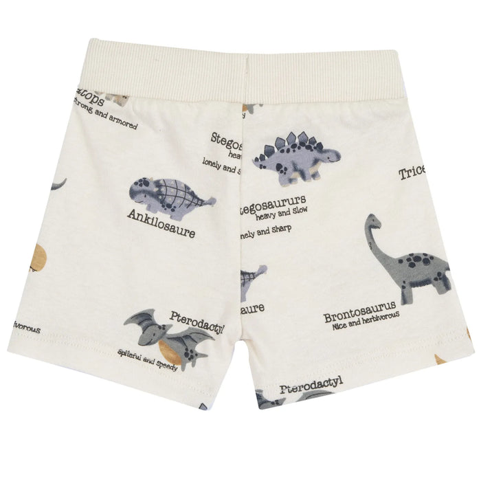 Boys Medium Grey Animal Printed T-Shirt with Shorts