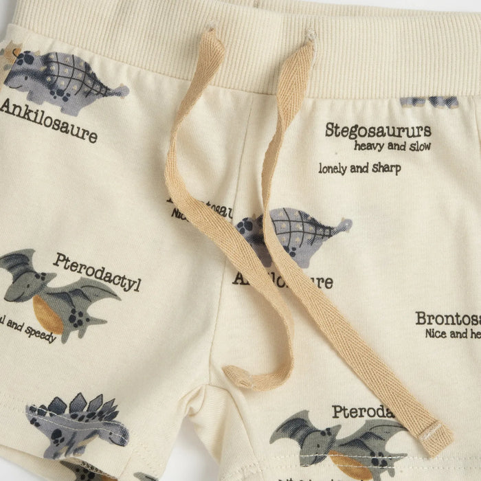 Boys Medium Grey Animal Printed T-Shirt with Shorts