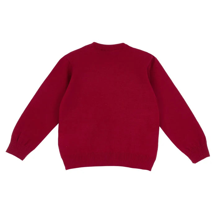 Boys Medium Red Printed Pullover
