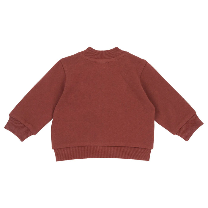 Boys Printed Cotton Fleece Sweatshirt