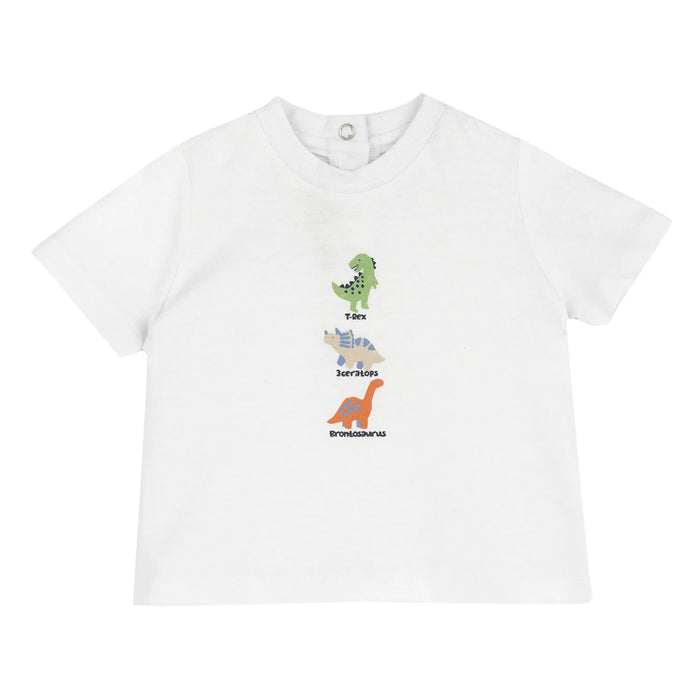 Boys Printed Cotton T-shirt