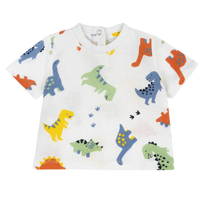 Boys Printed Cotton T-shirt