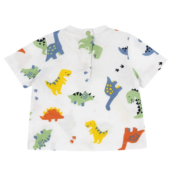 Boys Printed Cotton T-shirt