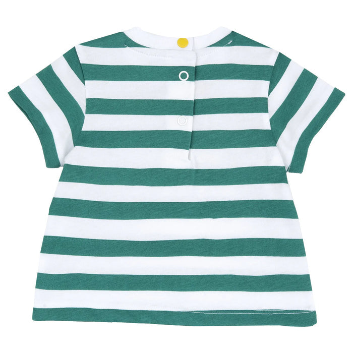 Boys White and Green Striped T-shirt