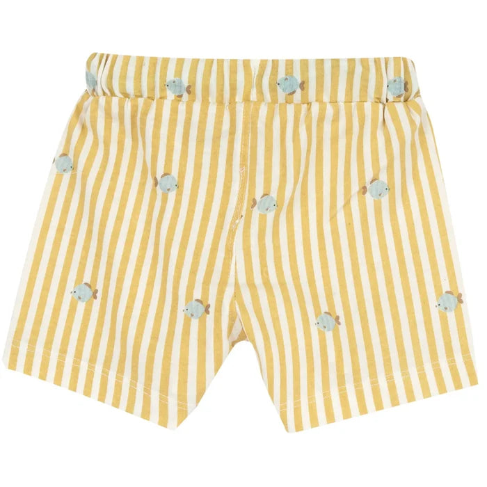 Boys White and Light Yellow Printed T-Shirt with Shorts