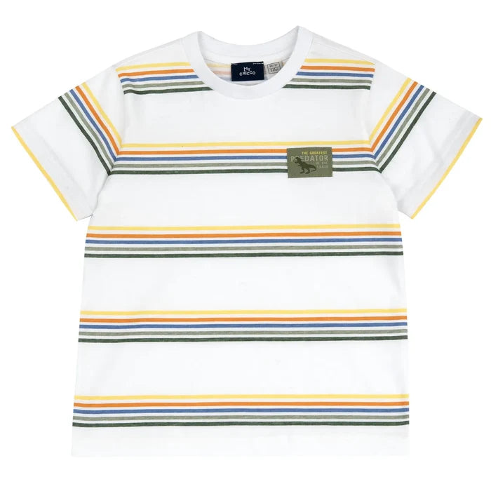 Boys White Horizontal Striped T-shirt