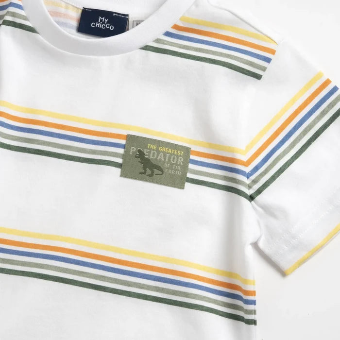 Boys White Horizontal Striped T-shirt