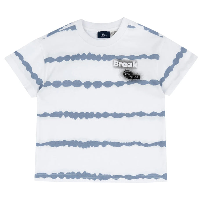 Boys White Light Blue Printed T-shirt