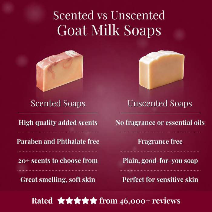 Comparison chart of scented and unscented goat milk soaps on a red background.