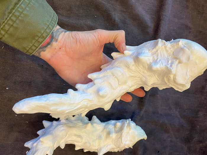 CAST DRAGON HORN PAIR