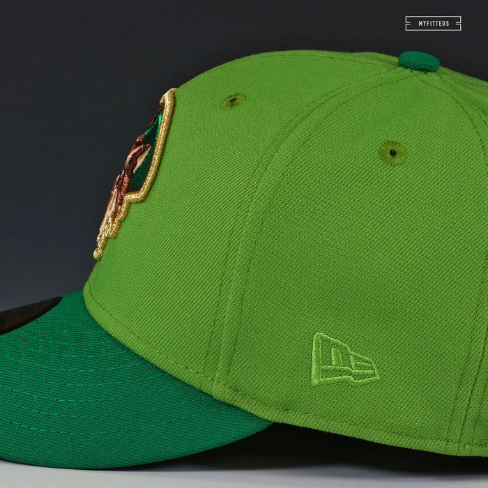 ERIE SEAWOLVES HOWLERS PETER PAN / ROBIN HOOD INSPIRED NEW ERA FITTED CAP