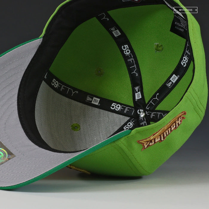 ERIE SEAWOLVES HOWLERS PETER PAN / ROBIN HOOD INSPIRED NEW ERA FITTED CAP