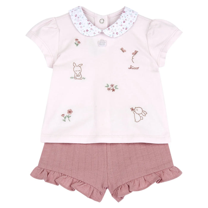 Girls Medium Pink Embroidered T-Shirt with Shorts
