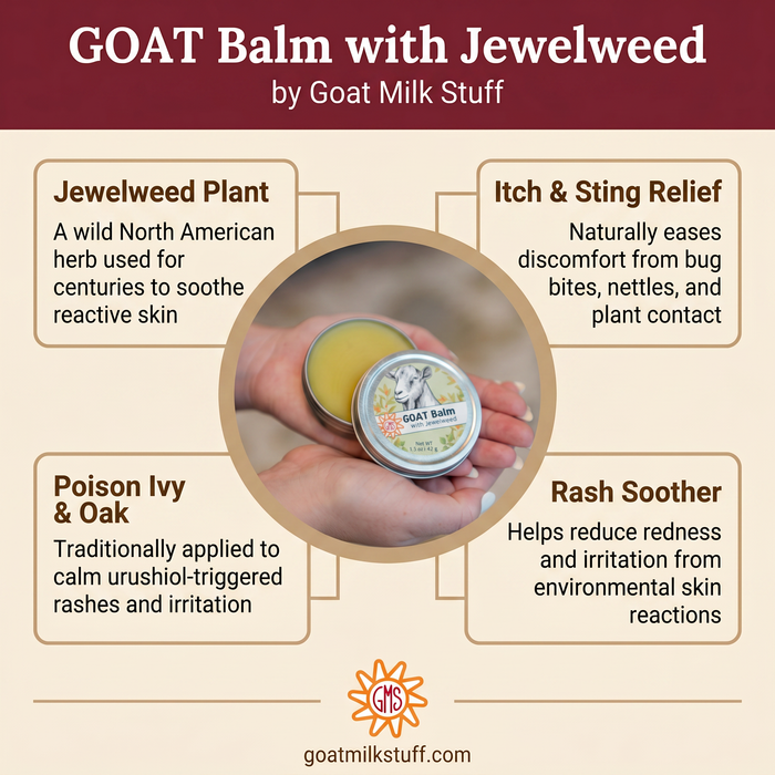 Promotional graphic for GOAT Balm with Jewelweed by Goat Milk Stuff, featuring a hand holding balm and text about its uses.