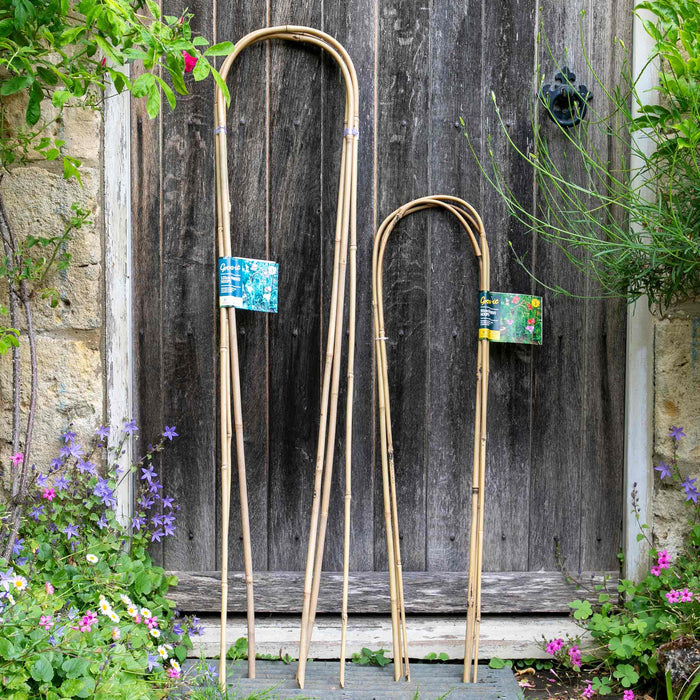 Grow It Bamboo Hoops