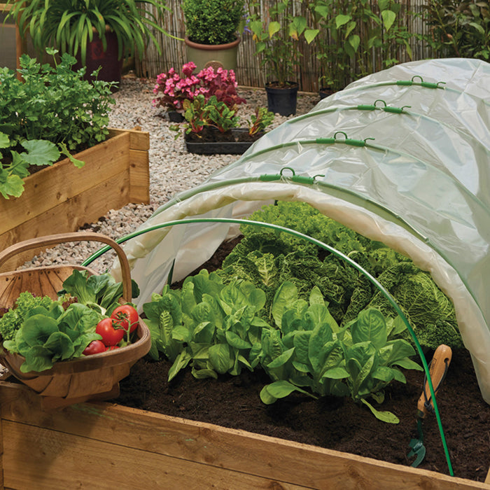 Grow It Grow Tunnel Hoops