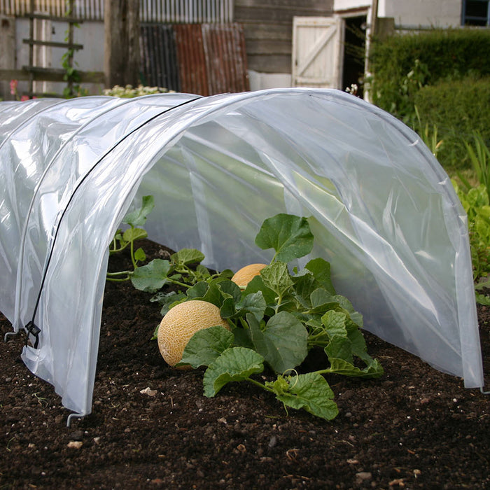 Haxnicks Easy Poly Tunnel Giant