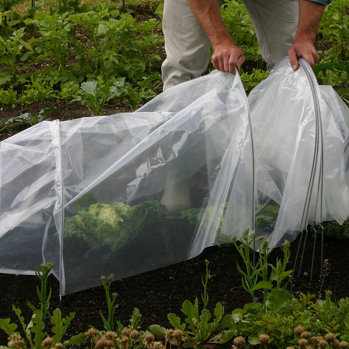 Haxnicks Easy Poly Tunnel Giant