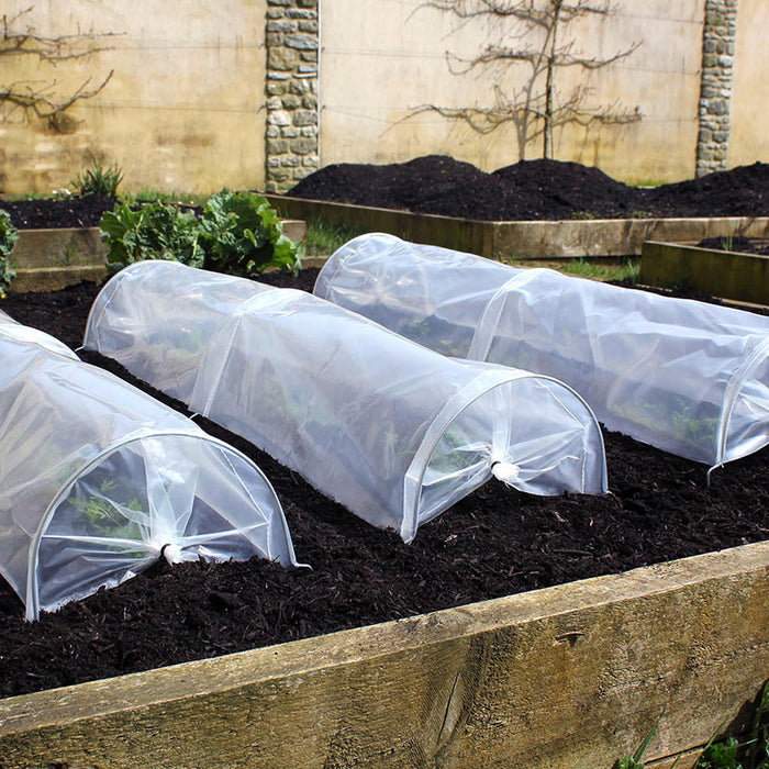 Haxnicks Seedling Tunnels