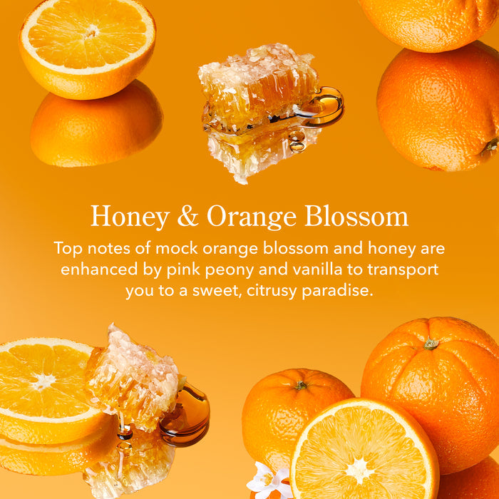 Honey & Orange Blossom 3-Pack Of Lip Balms