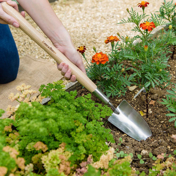 Kent & Stowe - Stainless Steel Border Hand Trowel