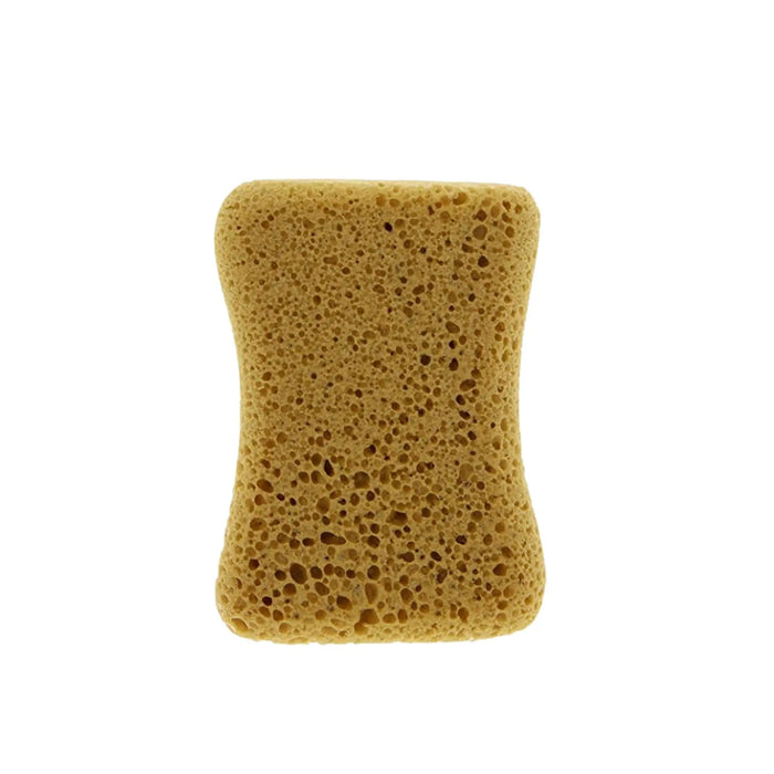 Large Wash Sponge - Carlinea