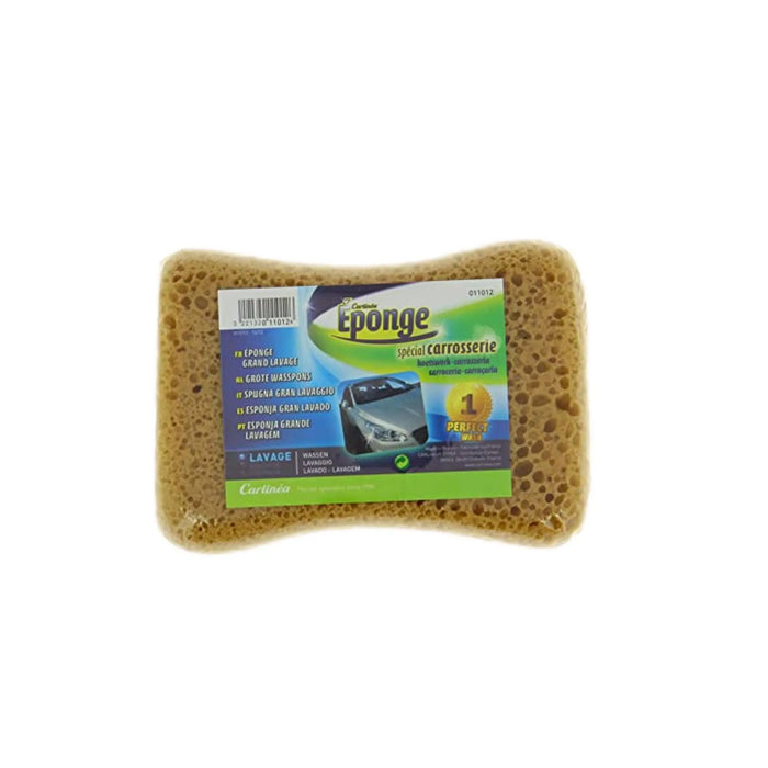 Large Wash Sponge - Carlinea