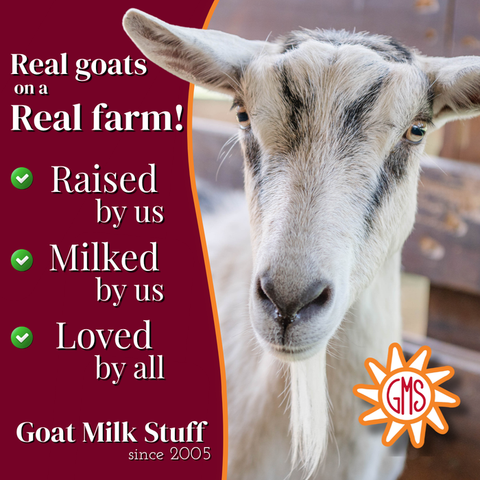 Goat with promotional text about real goats on a real farm, featuring the GMS logo.