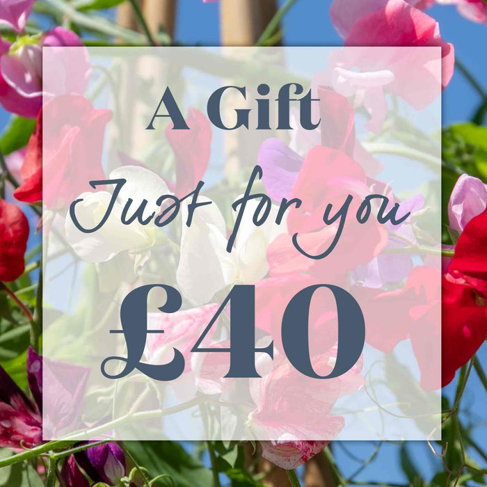 Marshalls Garden £40 E-Gift Voucher