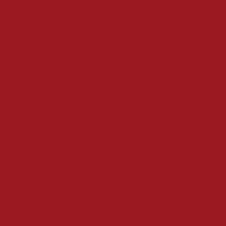 RedCookies BROWNIE VELVET LIP TINT 4g - Komiko Beauty