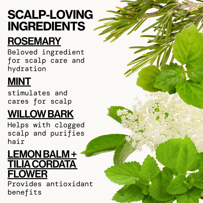 Rosemary Mint Scalp Love Conditioner - Pacifica