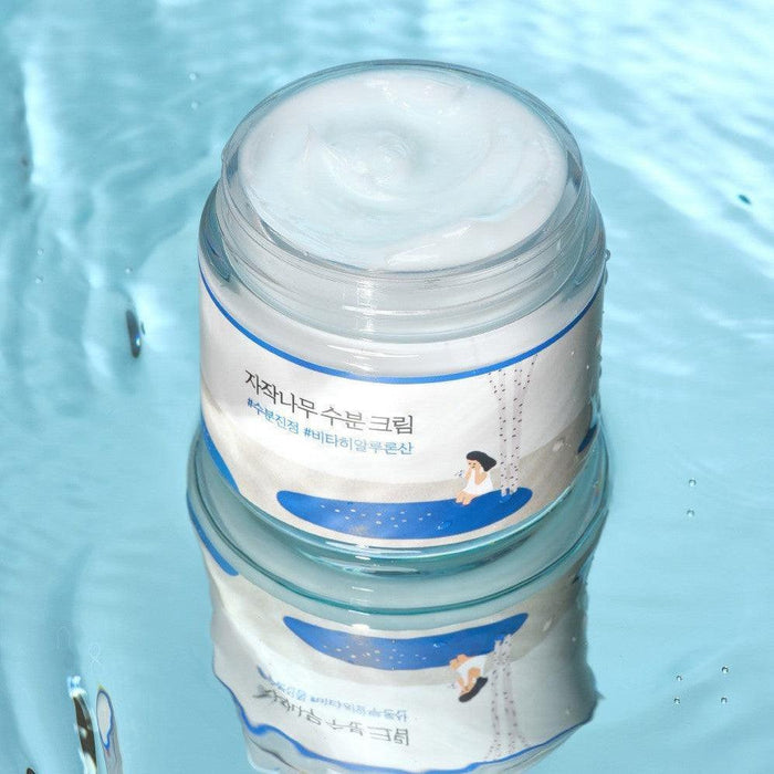 [ROUND LAB] Birch Juice Moisturizing Cream 80ml - Ballagrio