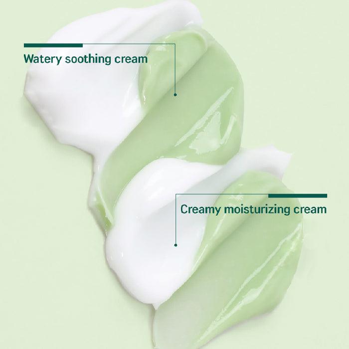 [ROUND LAB] Pine Tree Calming Cica Cream Plus 60ml - Ballagrio