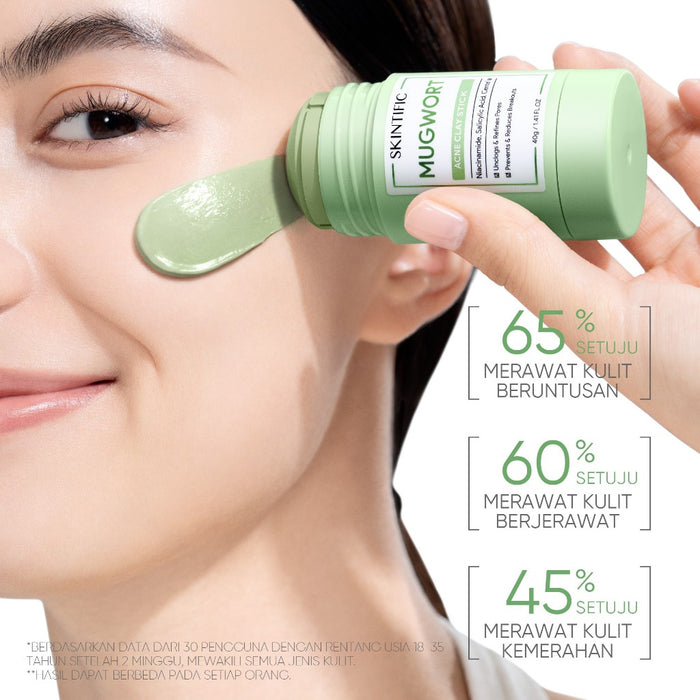 SKINTIFIC Mugwort Clay Facial Mask Stick Green Skin Care Face Mask Black Heads Removal Anti Acne set