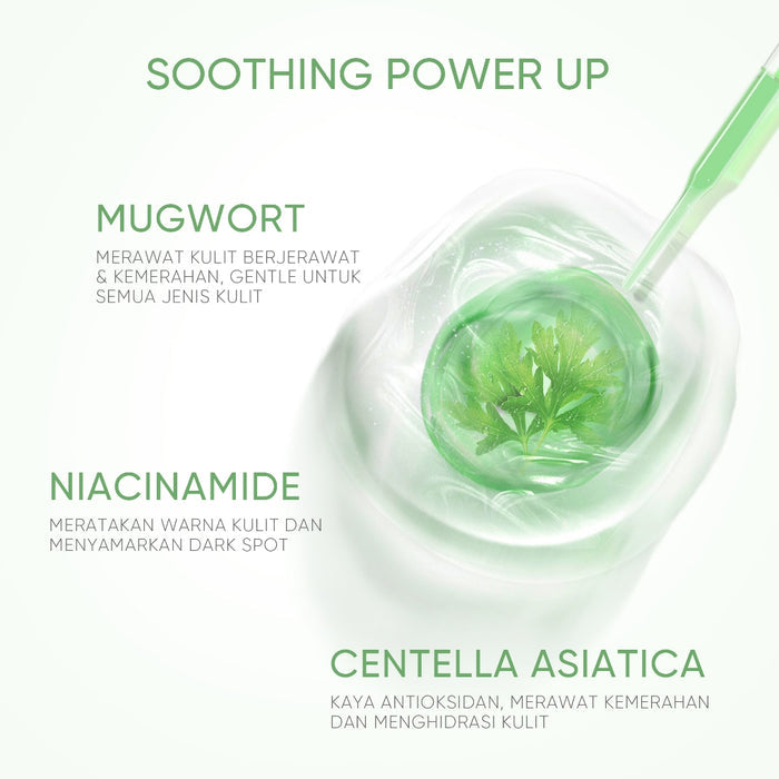 SKINTIFIC Mugwort Clay Facial Mask Stick Green Skin Care Face Mask Black Heads Removal Anti Acne set