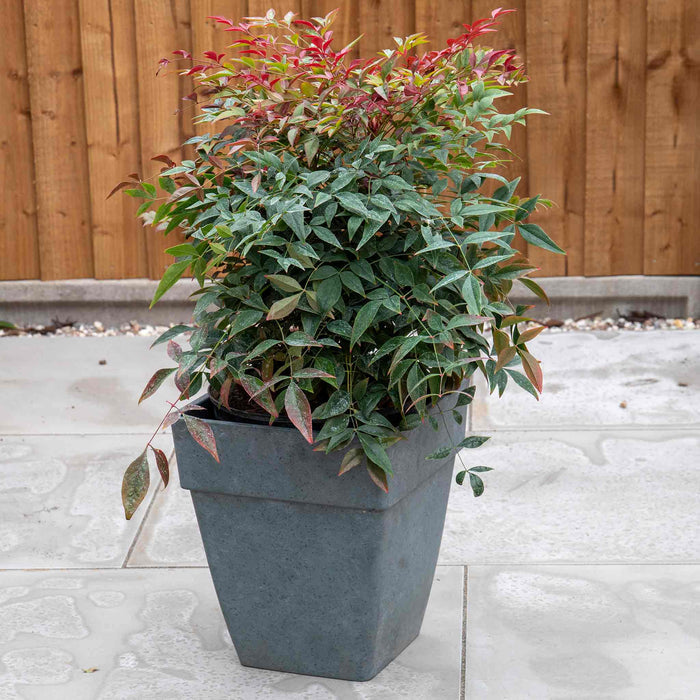 Square Euro Planters