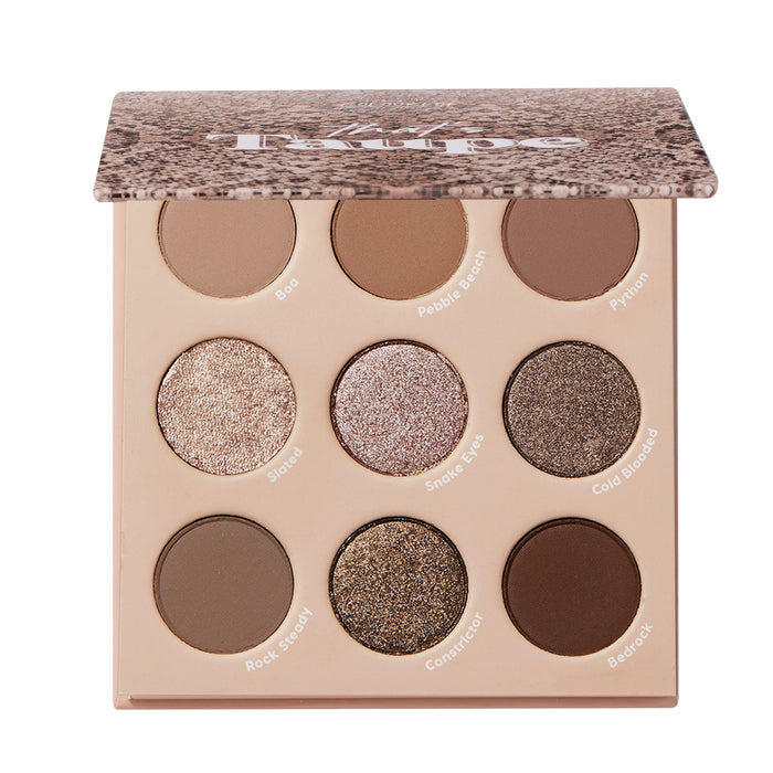 ColourPop Shadow Palette That’s Taupe displayed half-open, revealing nine cool-toned taupe neutrals - matte and metallic - labeled Boa, Pebble Beach, Python, Slated, Snake Eyes, Cold Blooded, Rock Steady, Constrictor, Bedrock in a beige case with a snakeskin lid.