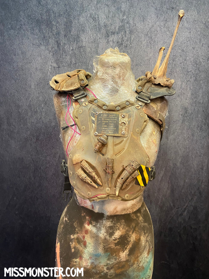 WASTELAND CHEST CARAPACE